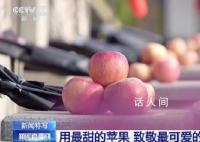 沈阳市民带1800个苹果祭扫英烈 山河无恙英魂安息