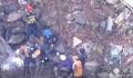 日本一棕熊尸体内发现人体残骸 经证实为此前登山死亡的大学生