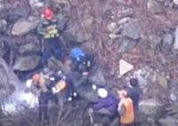 日本一棕熊尸体内发现人体残骸 经证实为此前登山死亡的大学生