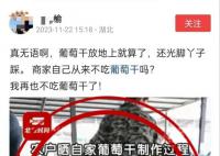 新疆和田光脚踩葡萄干系谣言 和田地区暂无视频显示的场地