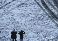 东北经历11月来第五轮大范围雨雪 青藏高原降雪增多