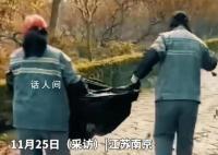 景区回应清洁工往路上抛撒树叶 很多游客可能是为了落叶来的