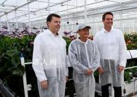 马云前助理:马家厨房不做预制菜