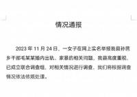 河南一乡镇干部出轨家暴?官方通报