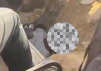 男子涉嫌在市场偷盗被多人围堵踩踏 每周末都会光顾宠物市场偷钱偷手机