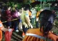 泰国新郎婚礼上枪杀新娘一家后自杀 酿成5死的惨剧