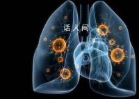 支原体肺炎是新冠变异?二者差异大于人类和苍蝇的差别