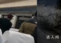 K7541列车与两头野猪相撞致晚点 导致列车晚点35分钟