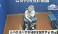 柬埔寨华人蛇头夫妻在中国落网 被害人员不计其数 