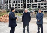 湖南省委书记一个月7次暗访 一项一项抓好整改