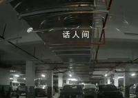 情侣深夜变雌雄大盗 得手后激动告白