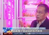 20层“高楼”里种菜 育种加速器实现作物快速生长发育