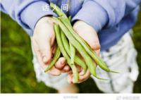 17岁女孩吃下半斤生豆角中毒 豆角可以吃却要这样吃