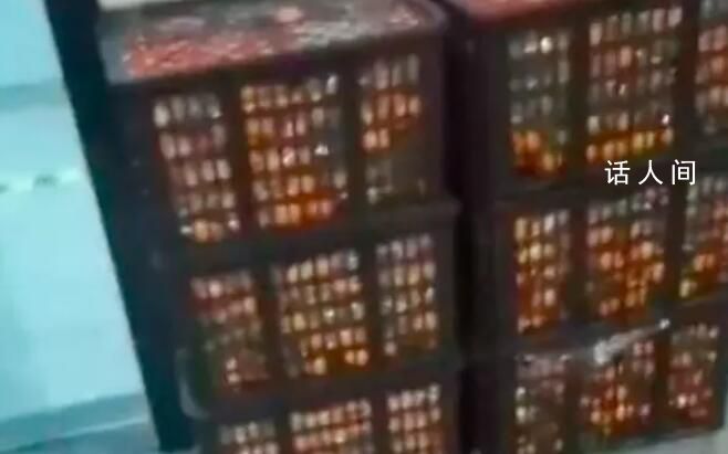 一车橘子被检测站卸8筐仅找回4筐半 当地：保管不善遗失2件当班人员停岗处理