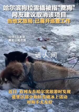 哈尔滨回应网友建议取消狗拉爬犁 系私人经营正在整治劝离