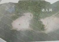 男子铲毁自家林地建养猪场被判刑 被判处有期徒刑六个月并处罚金一万元