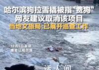 哈尔滨回应网友建议取消狗拉爬犁 系私人经营正在整治劝离