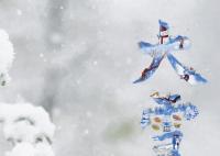 今天大雪 今天17时32分迎来大雪节气