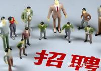 外贸公司回应招人要老家来自农村 农村孩子更务实更懂得珍惜机会