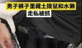 男子裤子里藏动物走私被抓 动物已被转移至相关机构进行健康检查