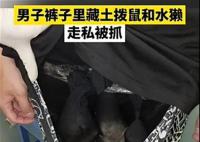 男子裤子里藏动物走私被抓 动物已被转移至相关机构进行健康检查
