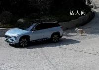 狗狗3次离家出走被民警找回 收到一面特制的锦旗