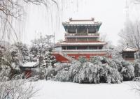 北京今日或迎今冬首场降雪 预计今天的最高气温仅2℃左右