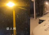 实拍北京今冬初雪 大片雪花簌簌落下