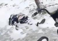 河南一男子醉倒雪地里被冻死 电动车停在一旁