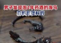 男子发现泡2年的药酒里海马竟是塑料 用火烧会收缩还伴有塑料味