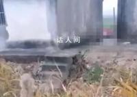 老汉怀疑儿子非亲生 将儿孙杀害