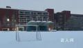 降雪能冻死病毒?这种说法真的靠谱吗