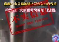 20多只猫饿到自相残杀?重庆辟谣