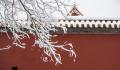 红墙白雪 故宫的雪景也太美了