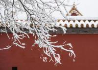 红墙白雪 故宫的雪景也太美了