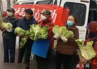 河南一地疑让老人寒风中捧白菜摆拍 该视频一经曝光便招致质疑