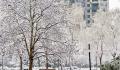 积雪可达15厘米 暴雪寒潮已近在眼前