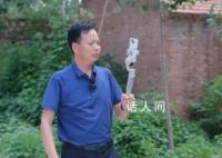 直播解决出行难题的网红局长被查 孙善豹个人资料介绍