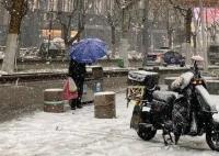 “鹅毛大雪”才是暴雪?降雪等级科普