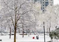 积雪可达15厘米 暴雪寒潮已近在眼前