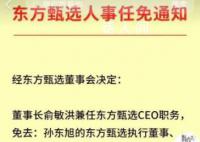 专家:留下董宇辉踢走CEO是对的