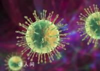 新冠JN.1变异株尚未大规模传至国内 暂无证据表明其致病性增加
