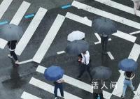 韩国每3个家庭就有1个是单人 29岁以下的单人家庭最多