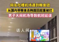 为什么有人背粮食登上去韩国的航班 安全风险巨大