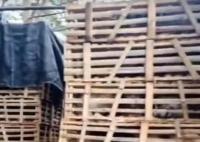 一辆载有950余只猫的运猫车被拦截 相关部门正在跟进处理