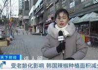 韩国大量进口中国辣椒酱 创下了历史最高纪录