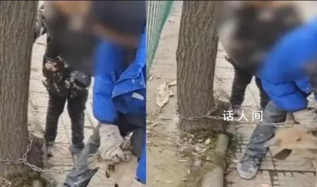 男孩哭着阻拦父亲卖狗被骂滚一边 最终还是800元卖掉了狗