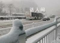 烟台冷流雪 宛如北极科考