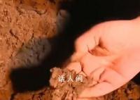 “砂涌现象”与余震无直接关系 震后砂涌现象为何破坏力如此大