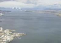 日本最大湖泊大量水鸟死亡 目前原因不明